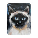 Recherche de siamois magnets Yeux bleus
