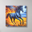 Recherche de cheval noir toiles Équestre