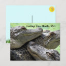 Recherche de salutations de la floride cartes postales Alligator
