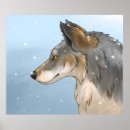Recherche de loup dans la neige posters Faune