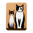 Recherche de chaton noir et blanc magnets Chatte