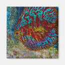 Recherche de tropical anniversaire magnets Coloré