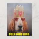 Recherche de chien basset hound cartes postales Chiens