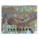 Recherche de leopard calendriers Léopards
