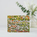 Recherche de saison cartes postales Sud