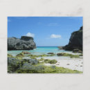 Recherche de beaux chevaux cartes postales Ciel