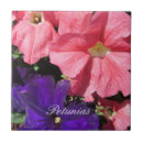 Recherche de pétunia maison deco Jardin
