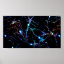 Recherche de nerf posters Science