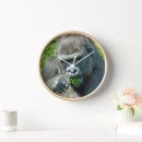 Recherche de gorilles horloges Nature