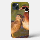 Recherche de canard ipad coques Aix sponsa