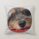 Recherche de siffler coussins Chiot