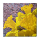 Recherche de fleur jonquille carreaux Pour elle