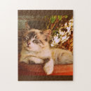 Recherche de sommeil puzzles Toute personne