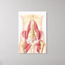 Recherche de dorsaux posters Biologie