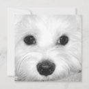 Recherche de char vœux cartes Chiot