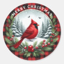 Recherche de cardinal autocollants Oiseau d'hiver