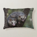 Recherche de opossum coussins Faune