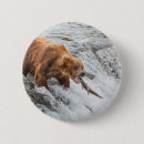 Recherche de ours brun badges Alaska