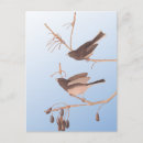 Recherche de oiseaux dans la neige cartes postales Oiseau d'hiver