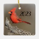 Recherche de ornement cardinal ornements Oiseau