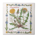 Recherche de pissenlit carreaux Floral