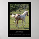 Recherche de peinture espagnole posters Cheval