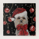 Recherche de yorkie puzzles Terrier