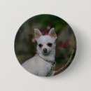 Recherche de chiwawa badges Blanc