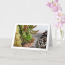 Recherche de sauterelle vœux cartes Nature