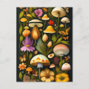 Recherche de haeckel cartes postales Botanique