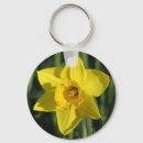 Recherche de jonquilles porteclés Nature