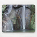 Recherche de ouganda tapis souris Afrique