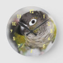 Recherche de perroquet vert horloges Mignon
