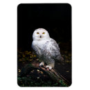 Recherche de chouettes magnets Blanc