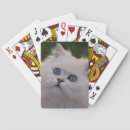 Recherche de chaton blanc jeux de cartes Amoureux des chats