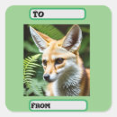 Recherche de fennecs cadeau emballages Sauvage