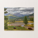 Recherche de bison puzzles Paysage