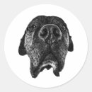 Recherche de art de nez autocollants Pour tous