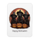 Recherche de labrador retriever magnets Chiot