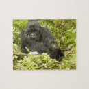 Recherche de gorilla puzzles Bébé