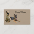 Recherche de ami cartes visite Animaux