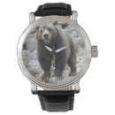 Recherche de ours brun montres Portrait