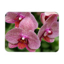 Recherche de orchidées magnets Anniversaire