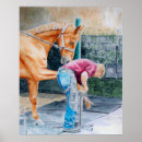 Recherche de poulain de cheval posters Colt