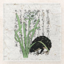 Recherche de grenouille dessous de verres Fleurs