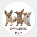 Recherche de chihuahuas autocollants Chiot