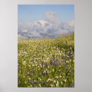 Recherche de mt shuksan Pittoresque