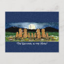 Recherche de raton laveur cartes postales Paysage