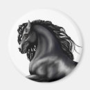 Recherche de pouliches magnets Poney