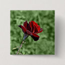 Recherche de rouge rose badges Beau